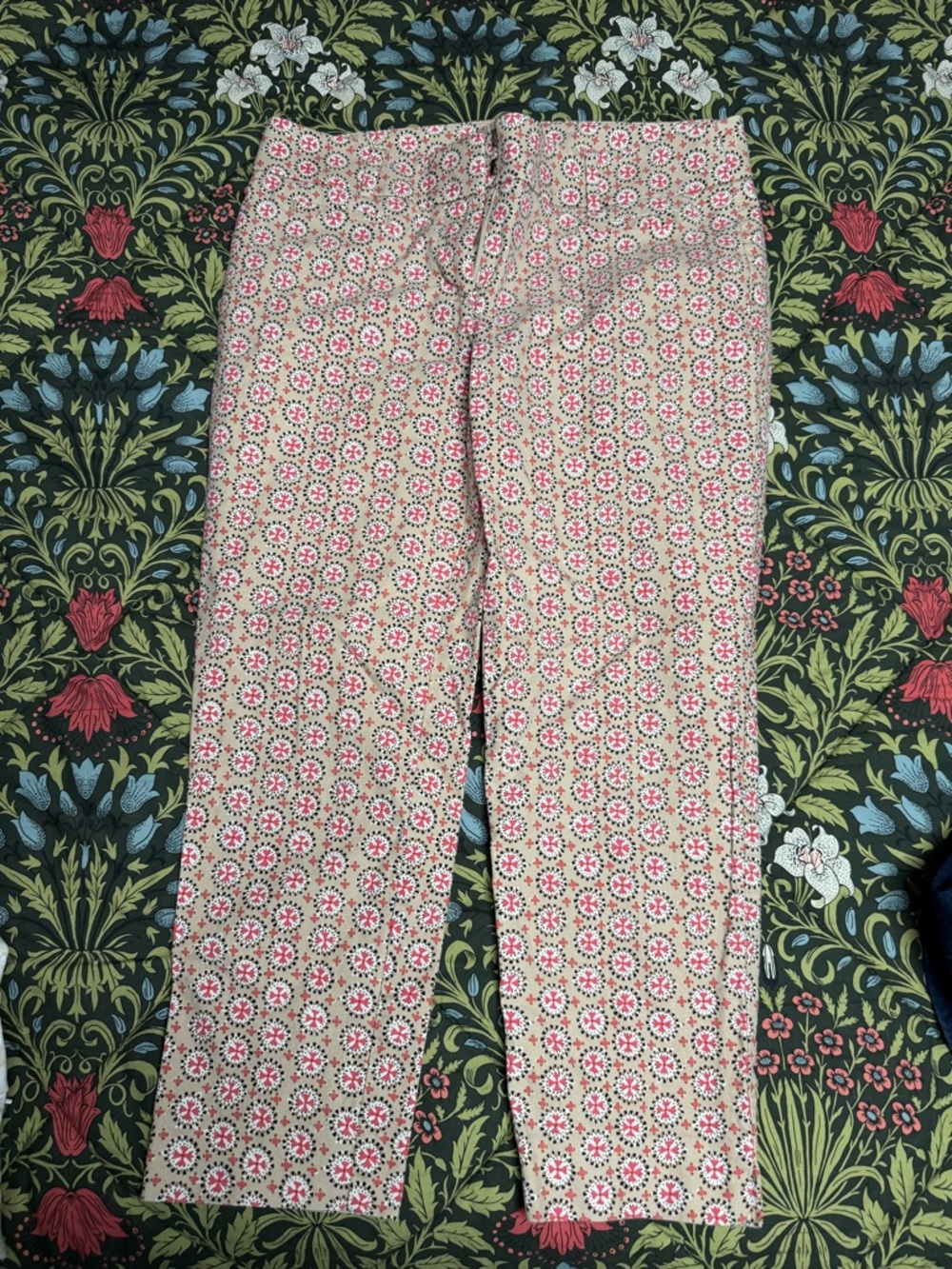 LOFT Printed Riviera Pants in Marisa fif